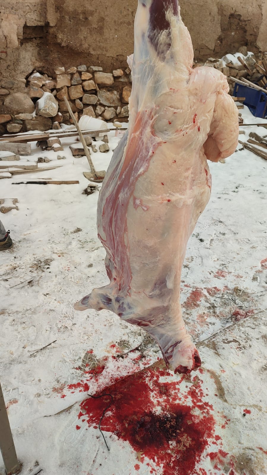 42 S Atalay Hayvancılık